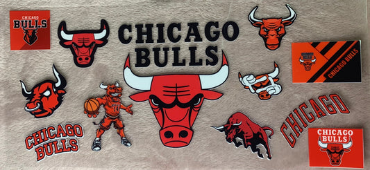 Chicago Bulls